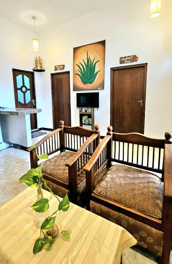 Aloevera Villa نيجومبو المظهر الخارجي الصورة