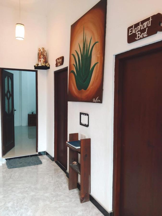 Aloevera Villa نيجومبو المظهر الخارجي الصورة